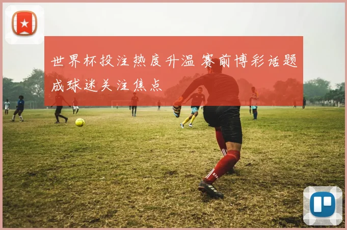 世界杯投注热度升温 赛前博彩话题成球迷关注焦点